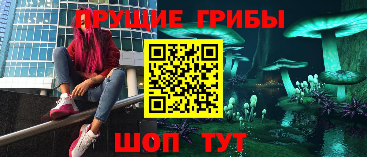 Торжок  Псилоцибиновые грибы мицелий  Вход с VPN  Галлюциногенные грибы прущие грибы 
